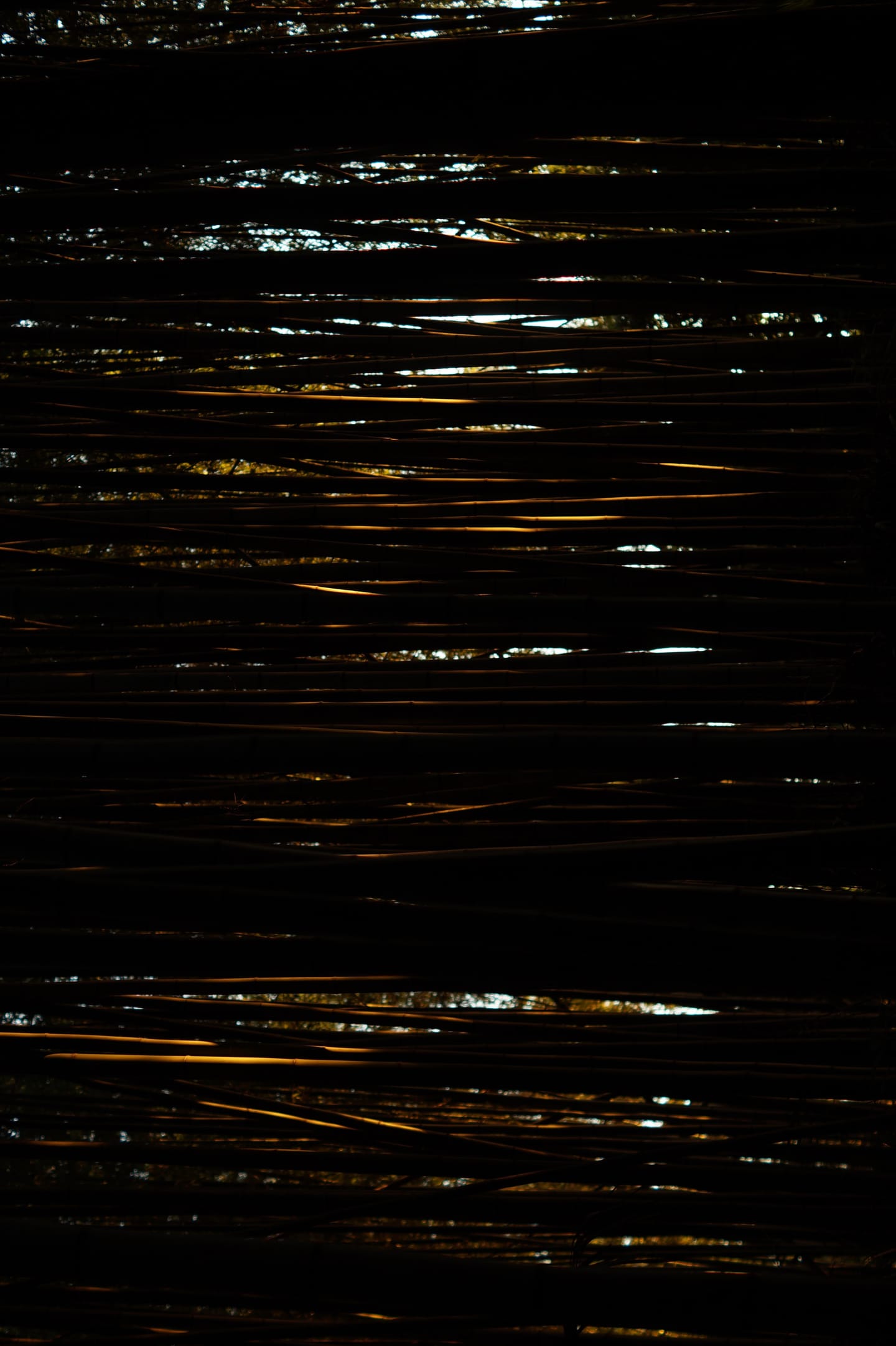 Threads of golden light reflecting across dark, rippled water at night.